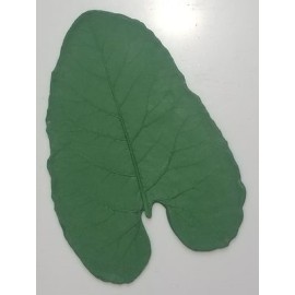 Med. Burdock Rubber Form